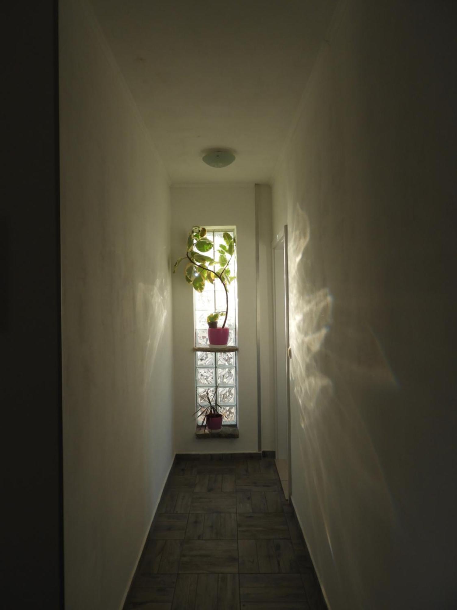 Apartman Pobuk Primosten Exterior photo